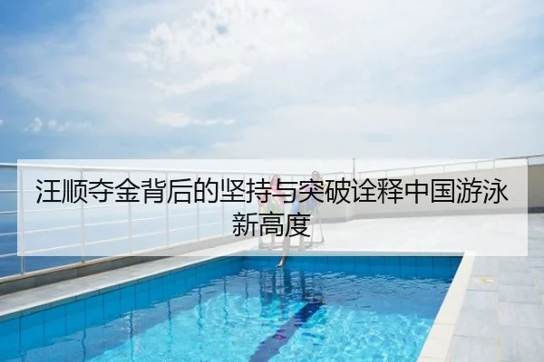 汪顺夺金背后的坚持与突破诠释中国游泳新高度