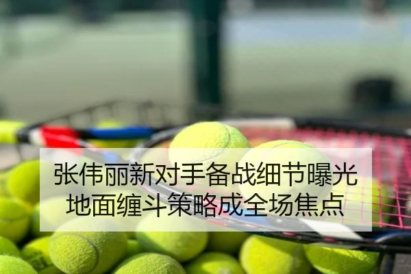 张伟丽新对手备战细节曝光 地面缠斗策略成全场焦点